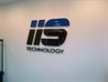 IIS technology logo
